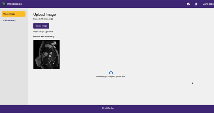 project/logo_intellicardiac.gif